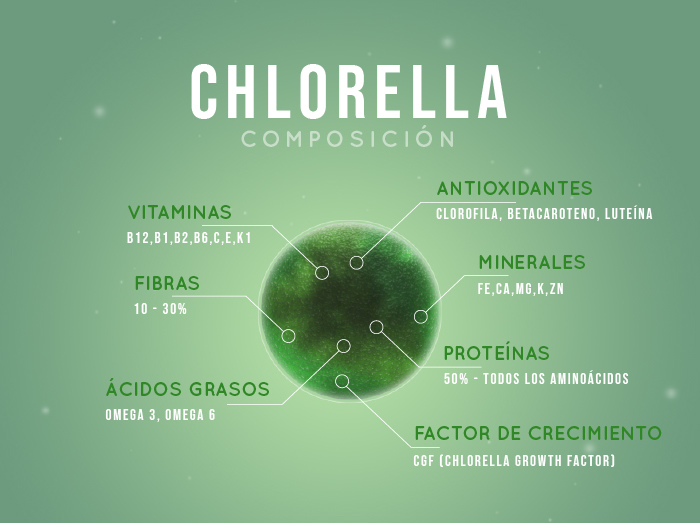 Composicion Chlorella Vulgaris